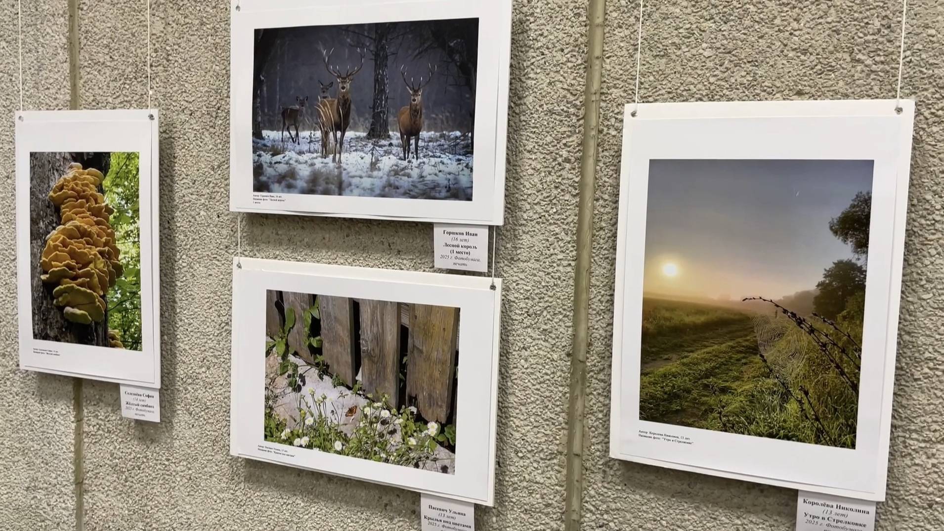 Фотовыставка "Территория успеха: в объятиях природы". Работы финалистов конкурса. Октябрь 2025 г. смотреть онлайн