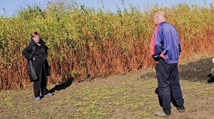 ✨️Время пришло!✨️Осенняя обрезка сада,кустарников,винограда✨️