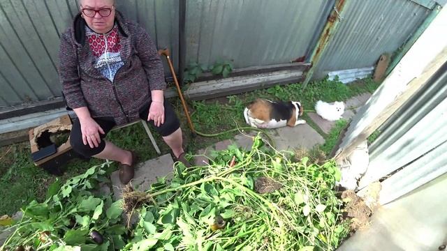 Влог от 02.09.2021 смотреть онлайн