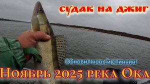 Осень на реке Ока: Ловим судака, пока не поздно!