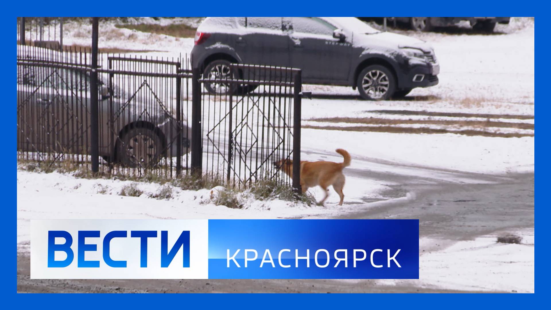 Вести. Красноярск от 05.11.2025 смотреть онлайн