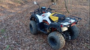 Покатушки на Kayo au150 по осеннему лесу.