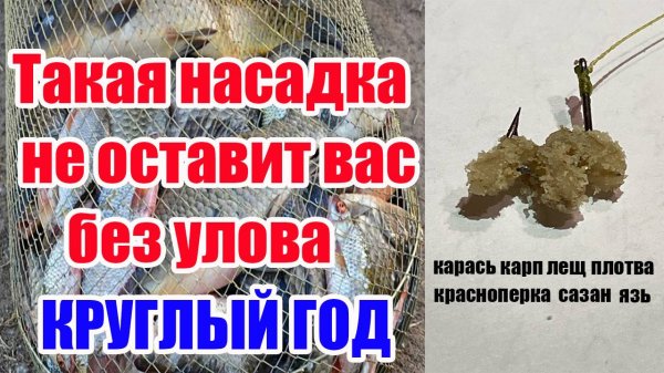 БЕЗ УЛОВА НЕ УЙДЕШЬ Насадка для рыбалки Карась Лещ Плотва