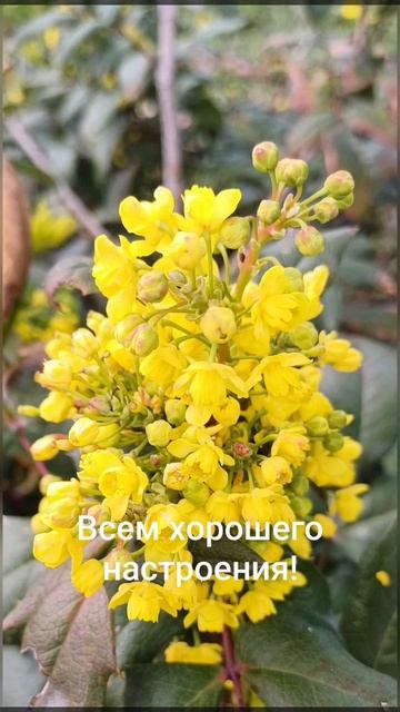 Всем хорошего настроения!