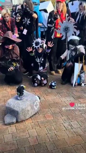 День 7, жду когда мне напишет сам(а) Oceac pebble смотреть онлайн