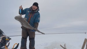 Проверка перемета от А до Я | 04.11.2025