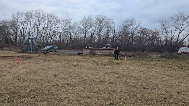 3. выражено/пож АЛЛЕМО ХАУС МАЛАВИТА (Аллемо Хаус Янар – Аллемо Хаус Гириша) смотреть онлайн