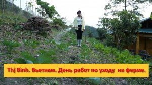 Thị Bình. Вьетнам. День работ по уходу  на ферме.