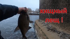 ЛЕЩ на СПИННИНГ март 2025 Москва река