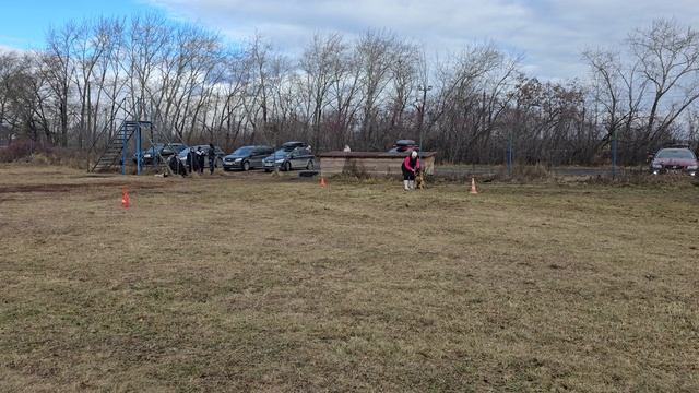 4. выражено/пож РАБЦУН СИБЕРИАН*С БЭЛЛА (Atze v. Zellwaldrand – Ave Nova Jamina) смотреть онлайн