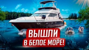 За дарами Белого моря на FORBINA 40 "Арктика". Большое водное путешествие на Север 2024. Часть 2