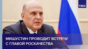 Мишустин проводит встречу с главой Роскачества Протасовым