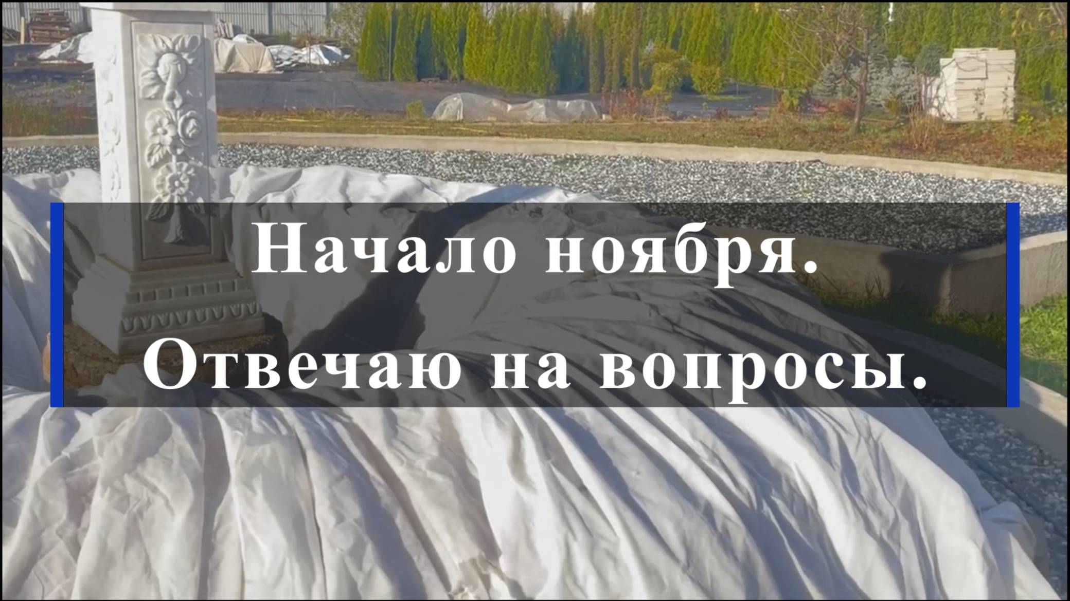 Начало ноября.Отвечаю на вопросы.