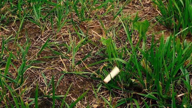 ПОЖАРНАЯ ПРОФИЛАКТИКА (без присмотра электроприборы, использование пиротехники)