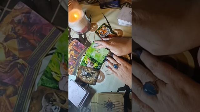 ОТ ВОЗДЕЙСТВИЙ В ПОЛНОЛУНИЕ