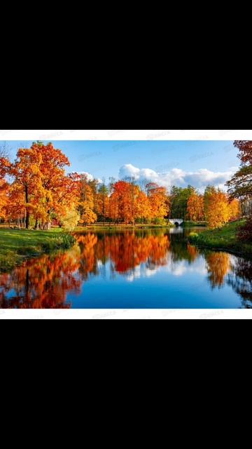 Осень... смотреть онлайн