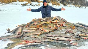 ЭТО НЕ РЫБАЛКА, А ЖОР КАКОЙ ТО! ЩУЧЬЕ БЕЗУМИЕ СО ЛЬДА!  Эвенкия часть 3