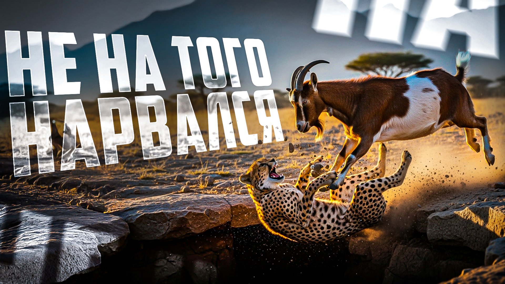 Животные связались не с тем противником смотреть онлайн