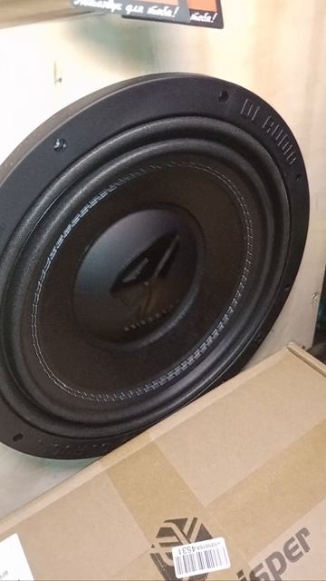 Начало Anaconda 12&Barracuda 1.1400 By DL Audio #shorts