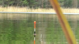 Рыбалка 4 ноября на карася на поплавок! Клюёт ли карась в  ноябре на дальнем пруду...