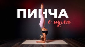 Пинча маюрасана с нуля (стойка на предплечьях)