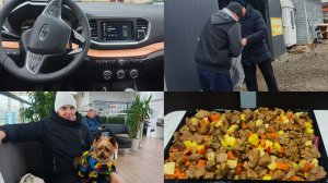 Поменяли резину ,магазины ,готовим ужин и обед .