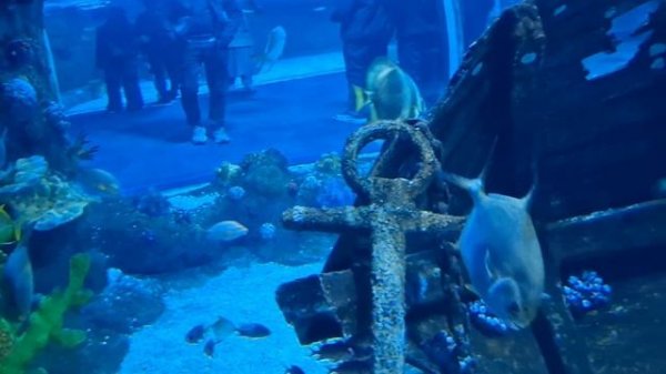 Путешествие