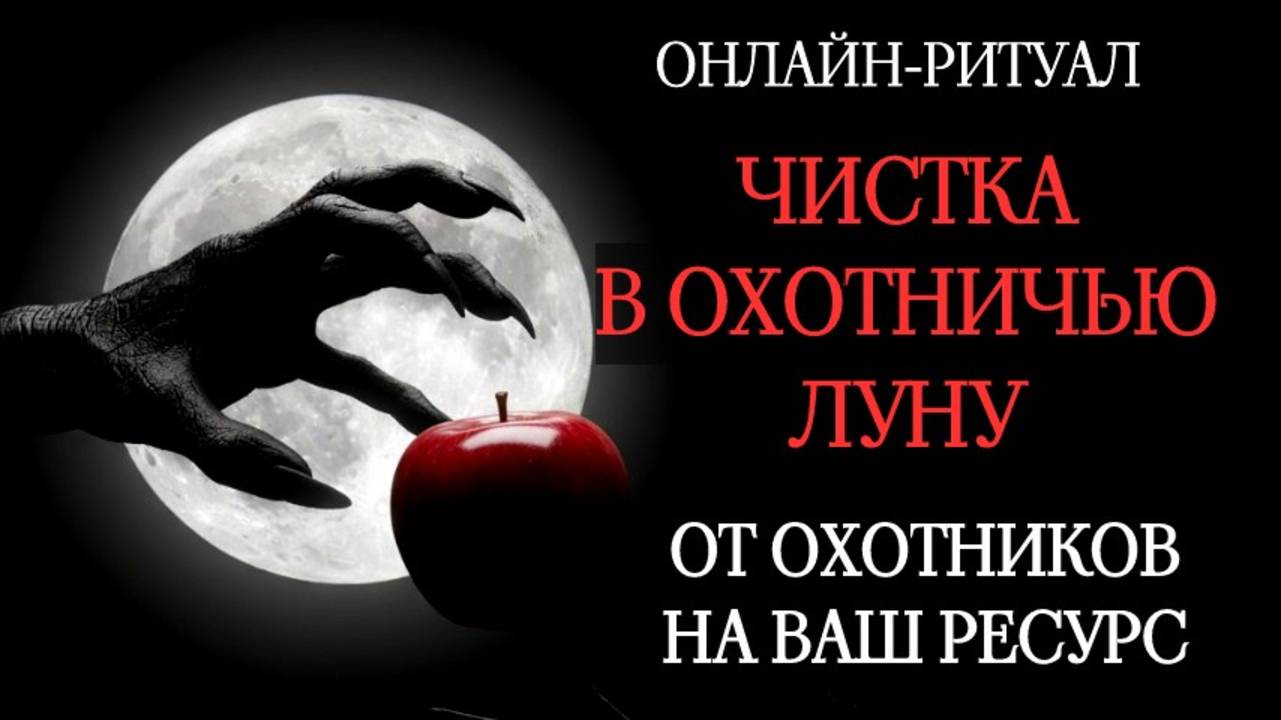 ОТ ОХОТНИКОВ НА ВАШИ РЕСУРСЫ. ЧИСТКА С ОБРАТКОЙ 05.11.2025 смотреть онлайн