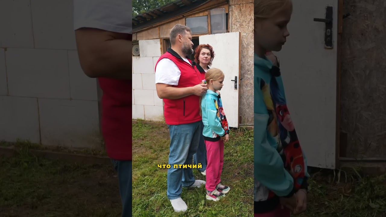 ВСЁ о СВИНОВОДСТВЕ в полном выпуске на канале СВОЯ ЕДА #свиноводство #свиньи #ферма смотреть онлайн