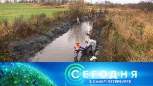 «Сегодня в Санкт-Петербурге»: 5 ноября 2025 года