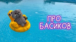 🌸💦ВЛОГ С БАСИКАМИ НА ДАЧЕ  #басики #волшебныебудни #пробасиков