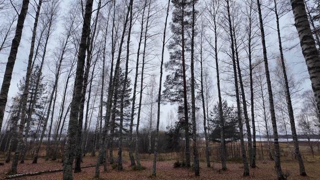 ИЩЕМ МЕСТА ДЛЯ КЕМПИНГА