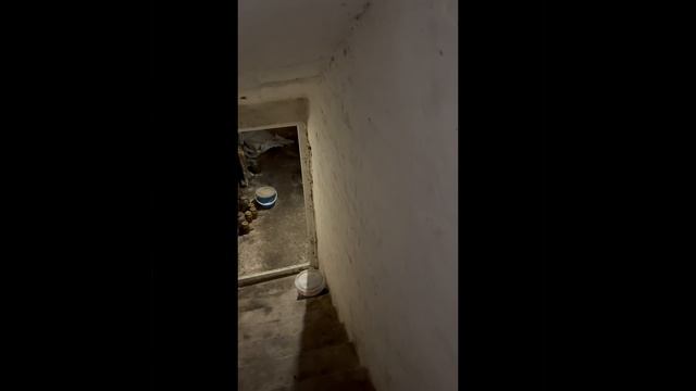 video-output-CFE35787-9202-4971-82A7-CCA2C296D4AD-1 смотреть онлайн