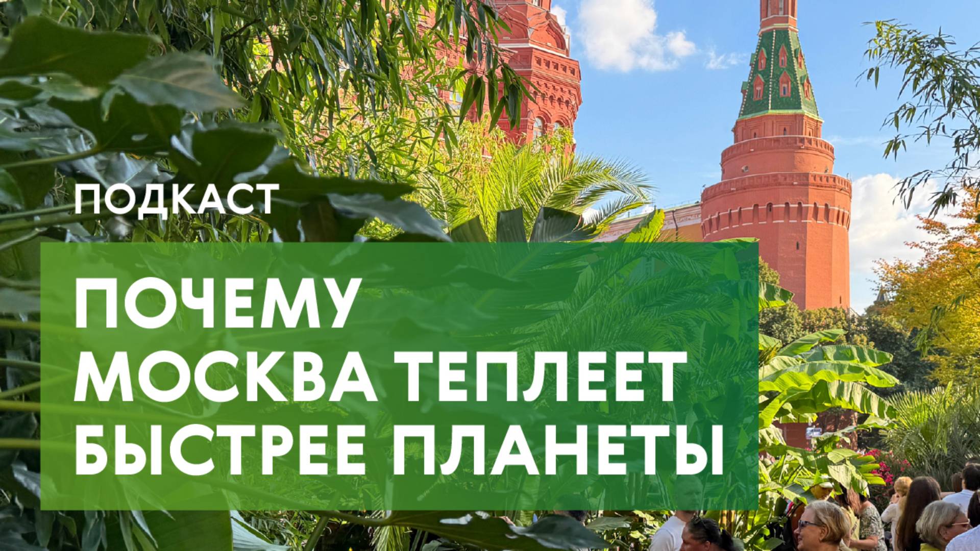 Городской остров тепла, исчезновение зимы и прогнозы от ИИ. Как жить в новой реальности?