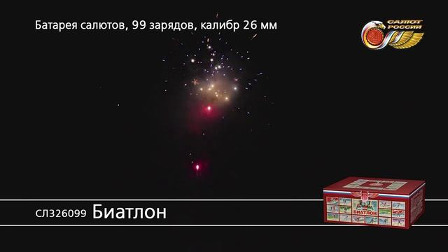 СЛ326099_Биатлон смотреть онлайн