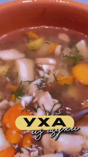 УХА | УХА ИЗ ЩУКИ | РЫБНЫЙ СУП.