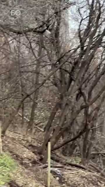 Коммунальное ЧП в Казани. Как два «садовода» создали проблем на 20 миллионов смотреть онлайн