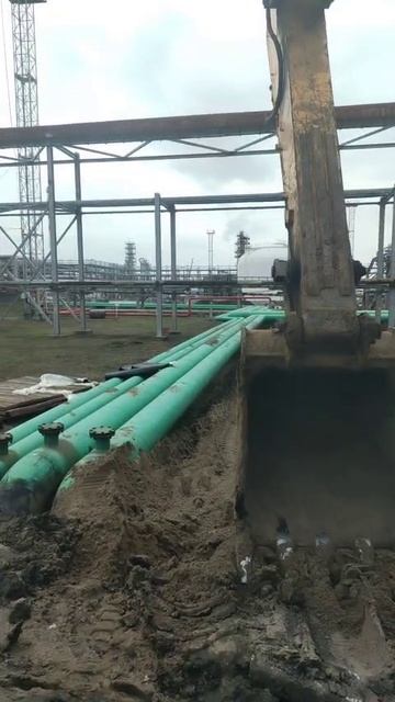 Помощь маленькому брату