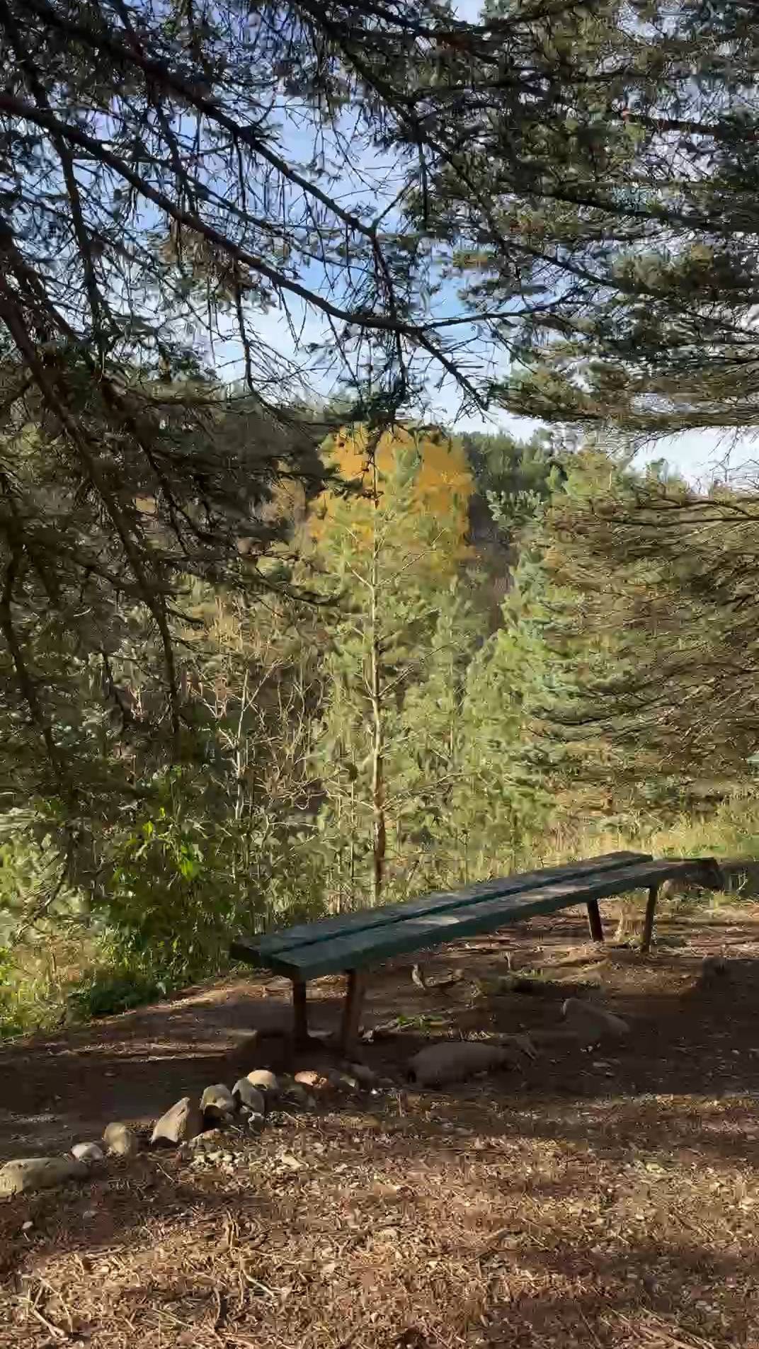 В объятиях природы - мой любимый уголок в Кисловодском парке