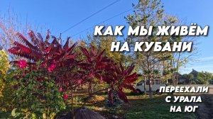 1015 Жизнь семьи на юге/Посадка саженца винограда/Обзор посёлка Родники