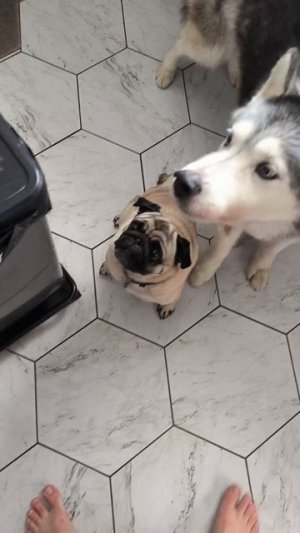 Печёночная достаточность