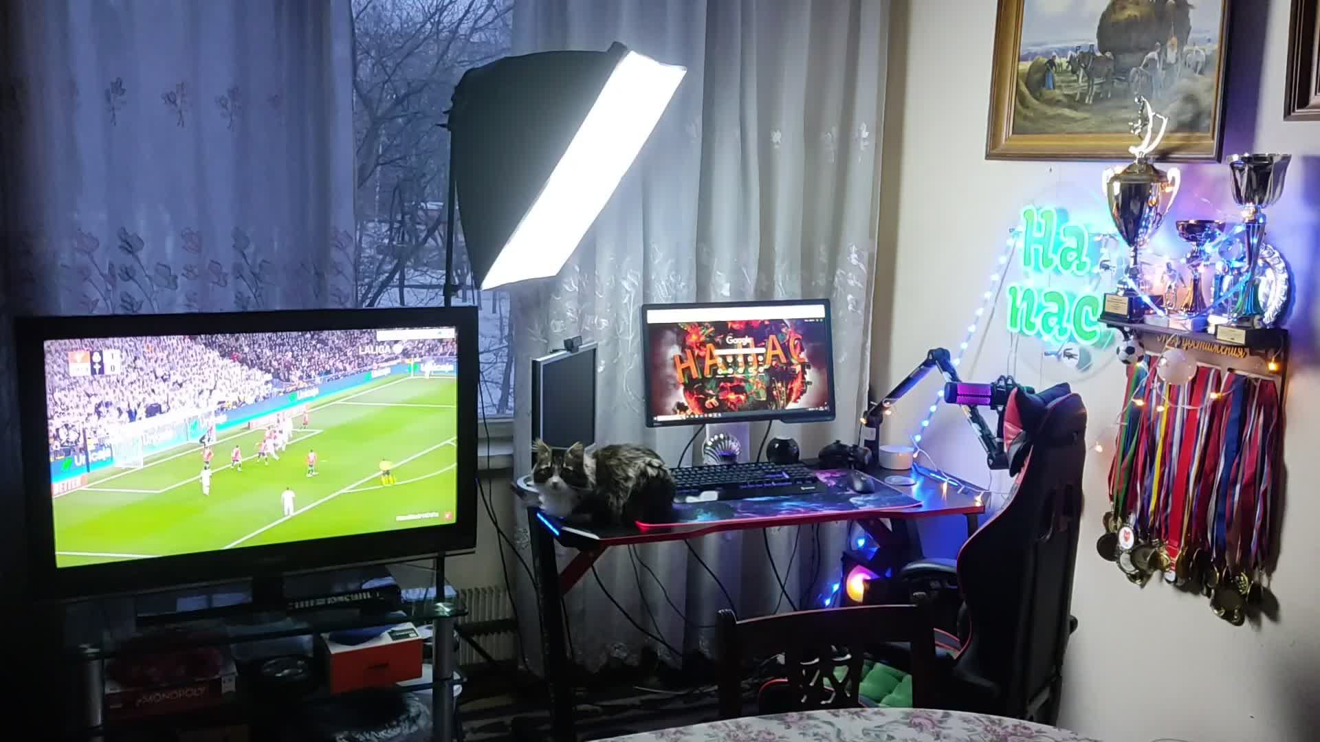 Вечерний стрим | Активные тут смотреть онлайн