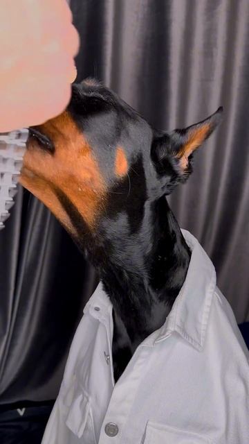 Как вам стиль ? смотреть онлайн