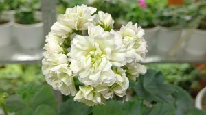 Небольшой обзорчик!