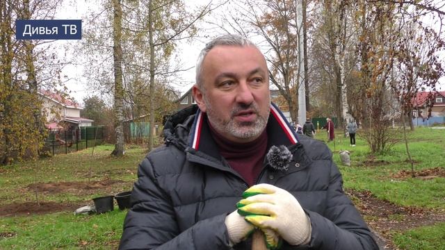 Посадка каштанов в Тихвине смотреть онлайн