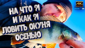Самый ЭФФЕКТИВНЫЙ способ ловли Окуня осенью ❗