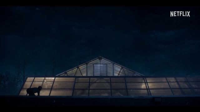 Сериал «Очень странные дела» 5 сезон трейлер смотреть онлайн