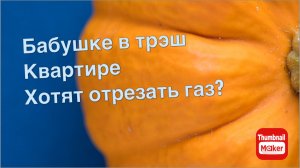 Вася на сене. Бабушке с трэш квартиры, хотят отрезать газ?