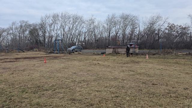 10. выражено/перв ТИИМ АЛЛЕМО ХАУС АЛИТА (Team del Sol Nascente Ekaraj – Аллемо Хаус Тьюна) смотреть онлайн