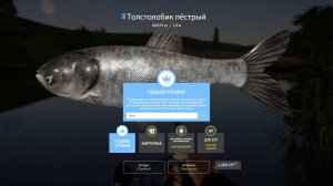 НОВЫЕ РАЗДАЧИ ТРОФОВ ТОЛСТОЛОБИКА НА СУРЕ УСАЧ НА АХТУБЕ СУПЕР ФАРМ НА МЕДНОМ МОРЕ В РУССКОЙ РЫБАЛКЕ